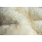 Homeroots 2 x 2 x 3 in. New Zealand Single Sheepskin Rug Natural 293188 - alternate 2